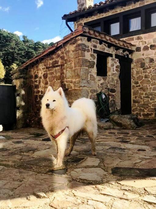 Casa Con Encanto Lagunanegra Y Urbion Винуэса Экстерьер фото